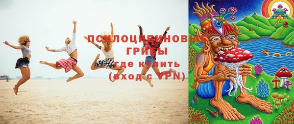 PSILOCYBIN Верхнеуральск