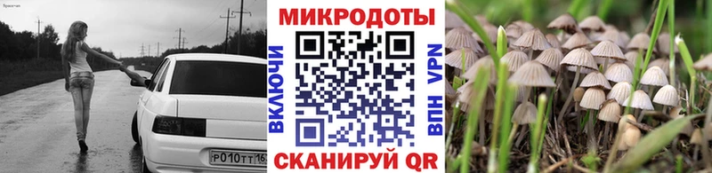 Псилоцибиновые грибы Psilocybine cubensis  hydra tor  Югорск 